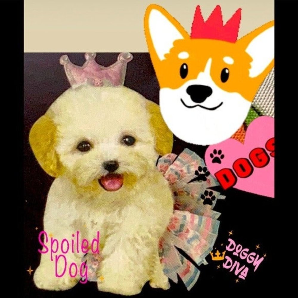 Instant Pet Princess Tutu Dog costume